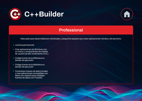 C++ Builder 13
