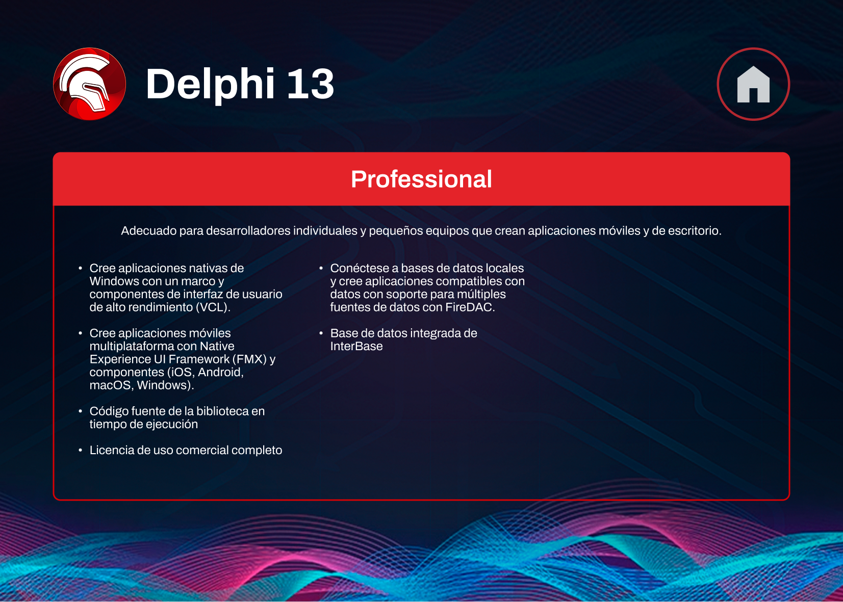 Delphi 13