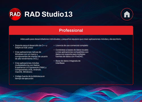 RAD Studio 13